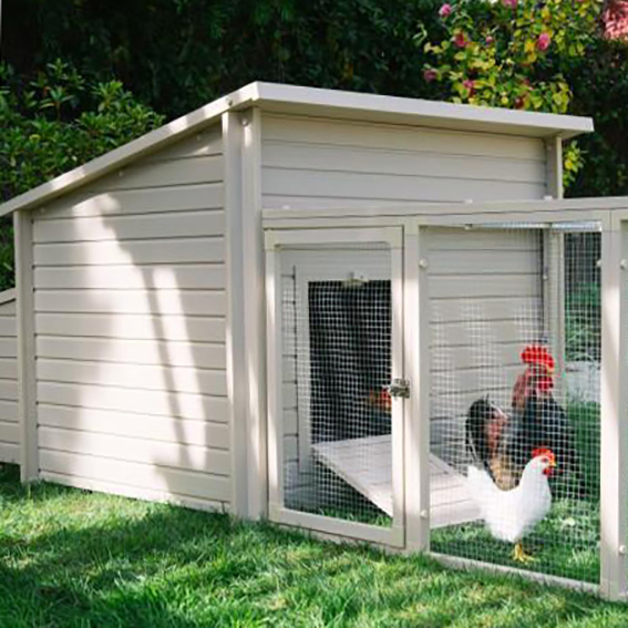 plastic chicken coop