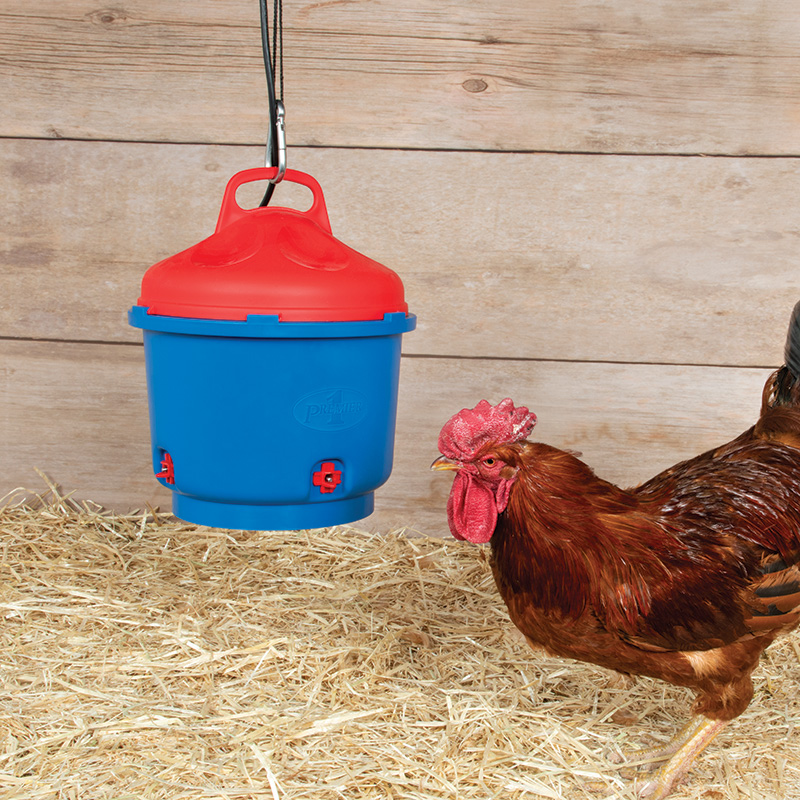 Best heated automatic chicken waterer