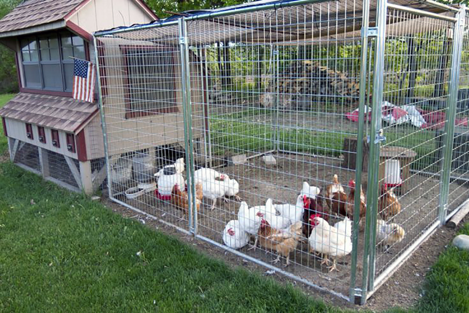 measure in between fence posts for chicken coop