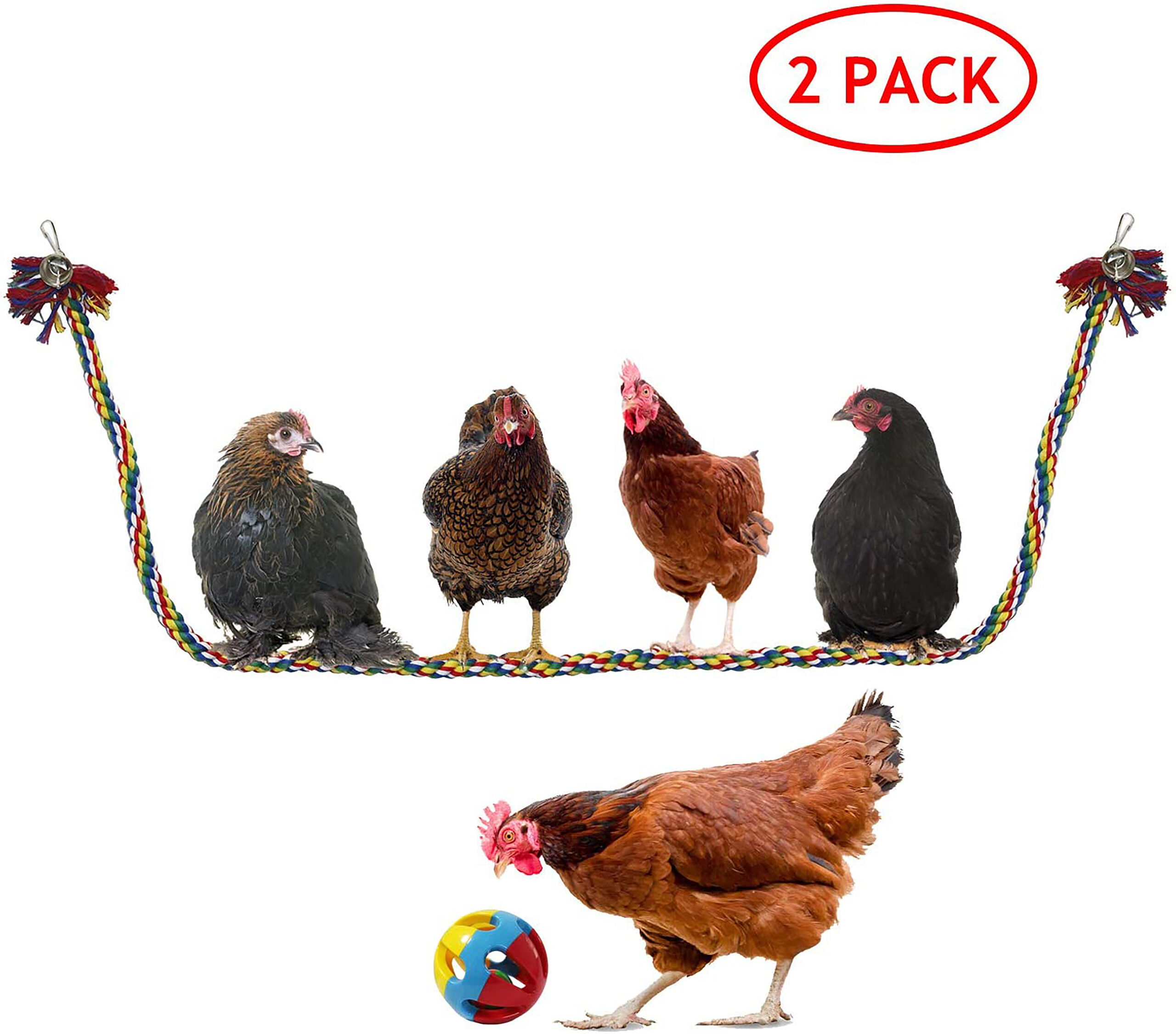 Chicken toys