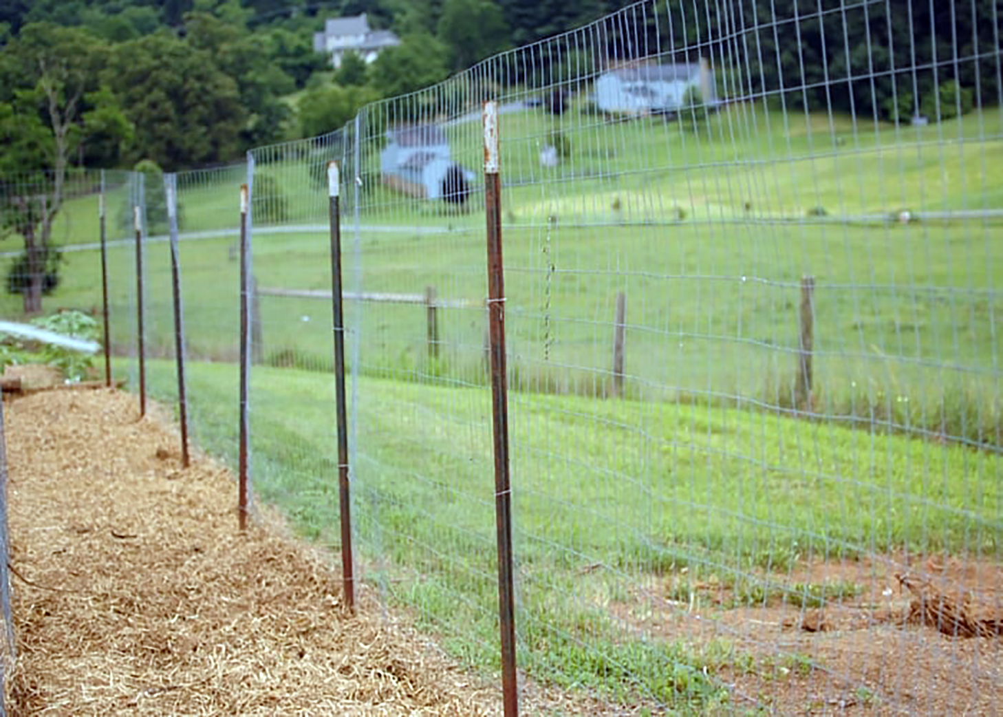 flat land for chicken run installation