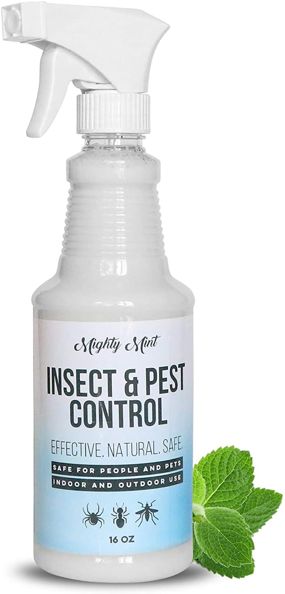 Mint Insect repellent
