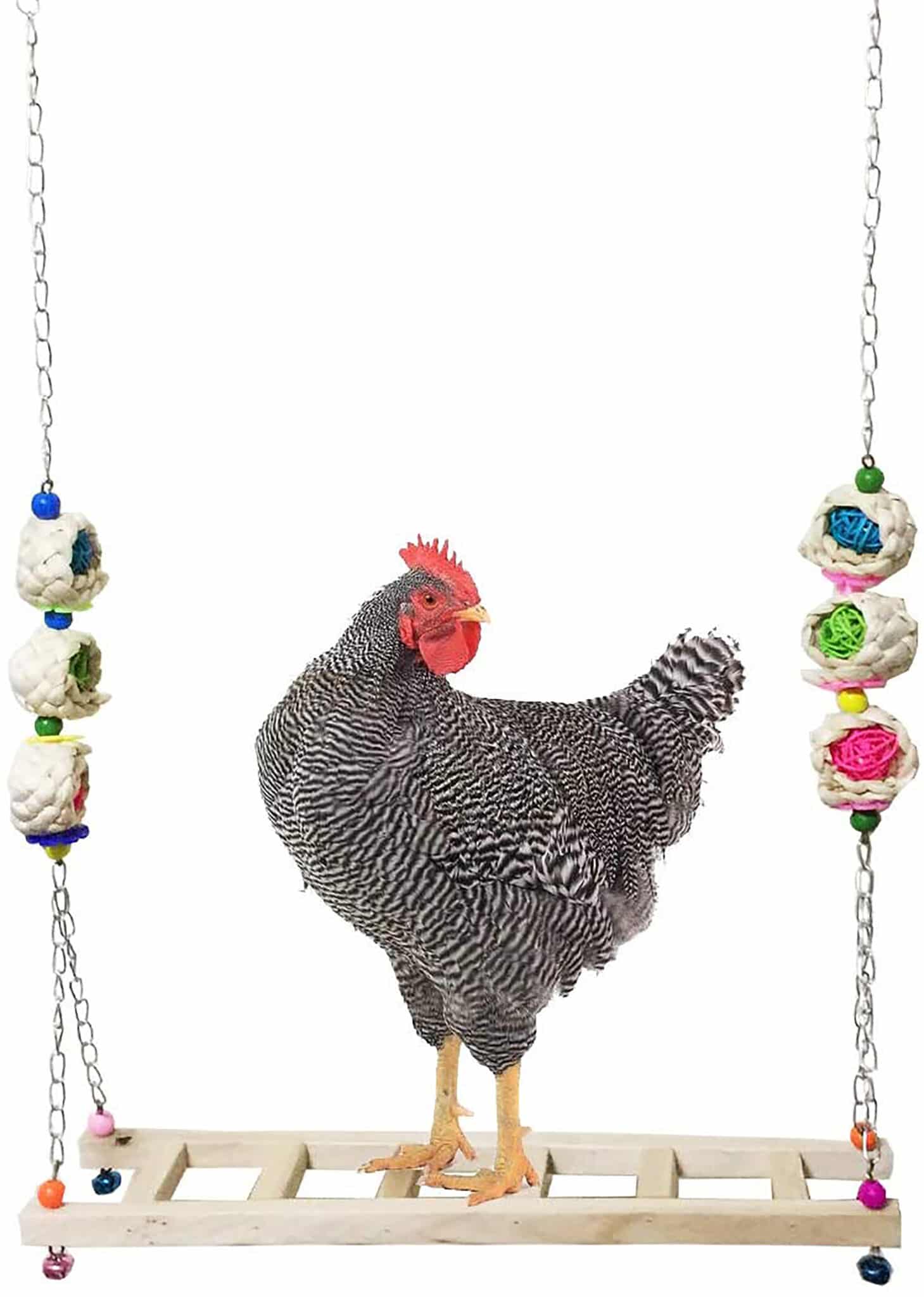 Chicken toy