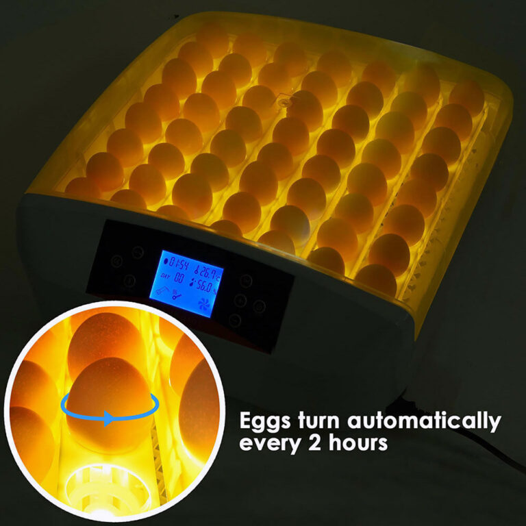 Best temp for chicken egg incubator