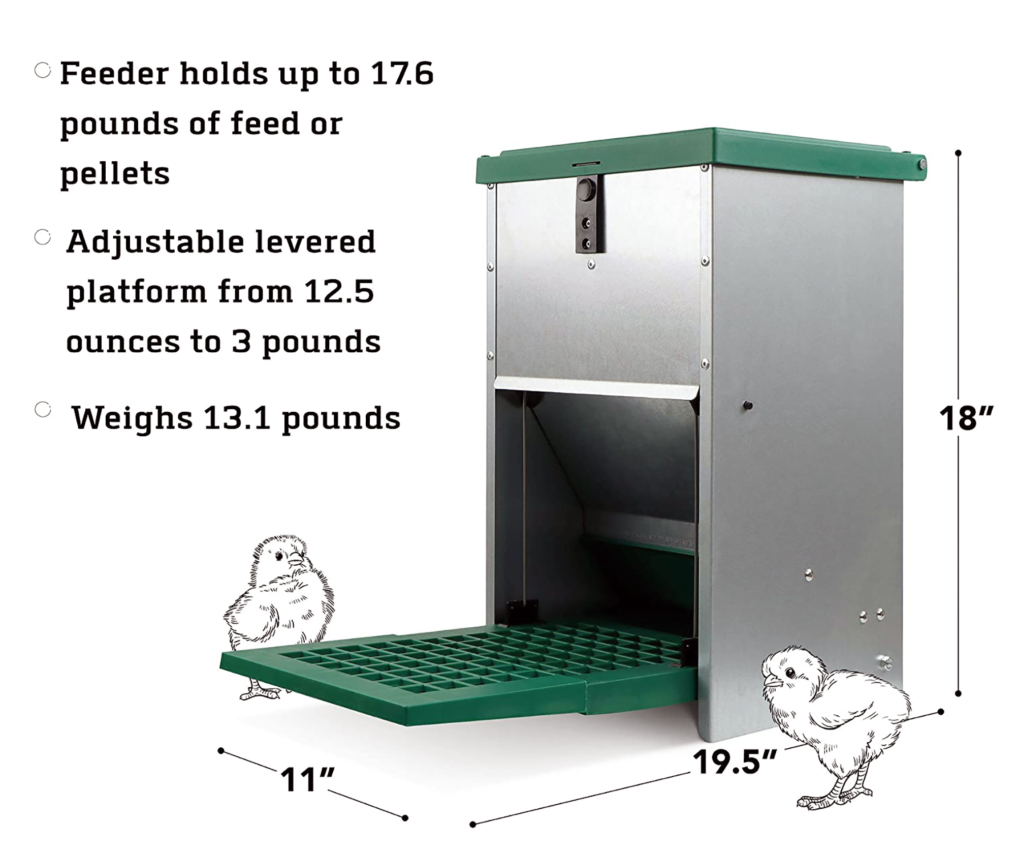 rat proof feeder for chicken