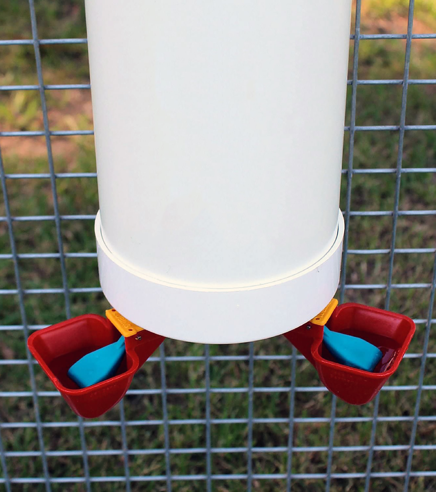 automatic valve chicken waterer