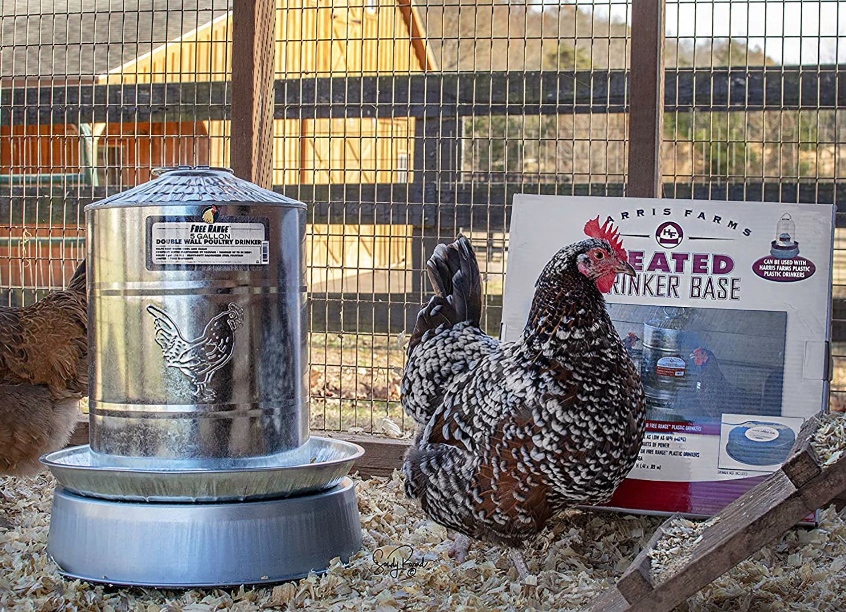 chicken water heater base
