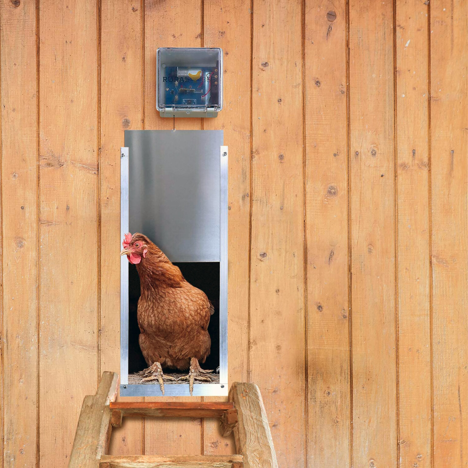 Electronic Chicken Coop Door review