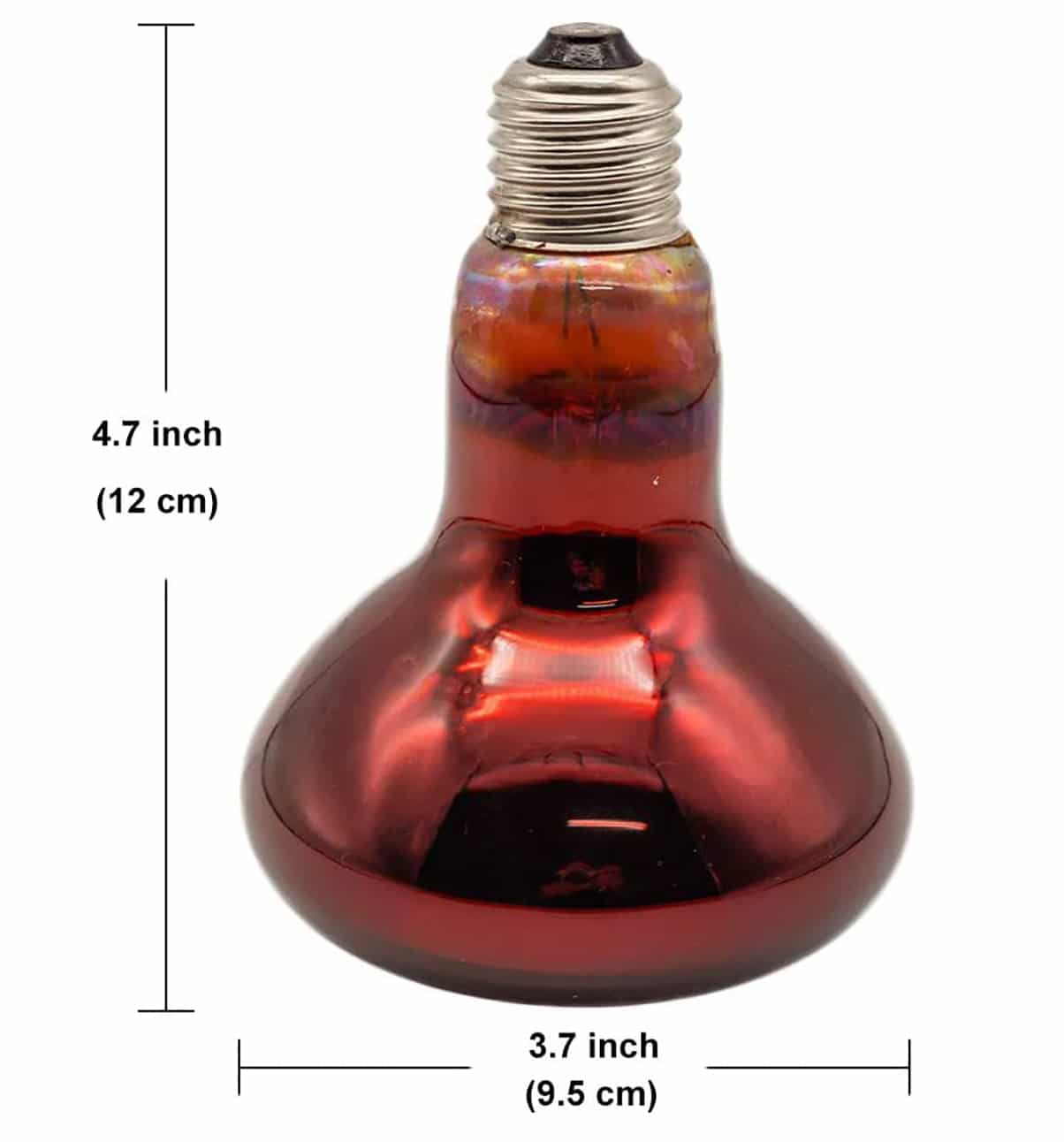 Best Brooder Infrared Heat Lamp
