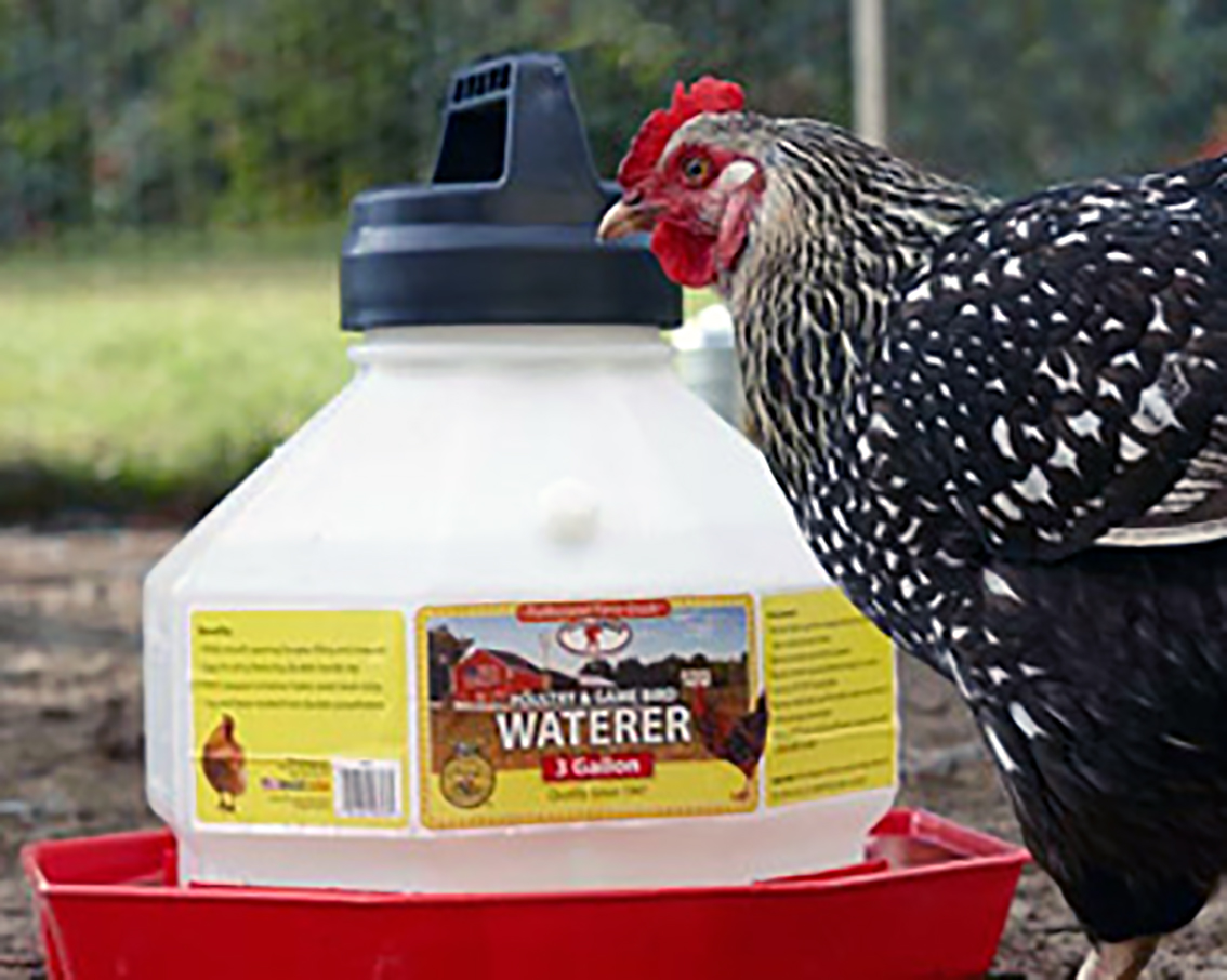 Plastic Poultry Waterer