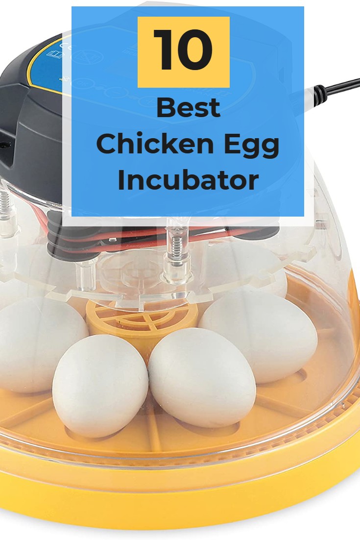 egg incubators