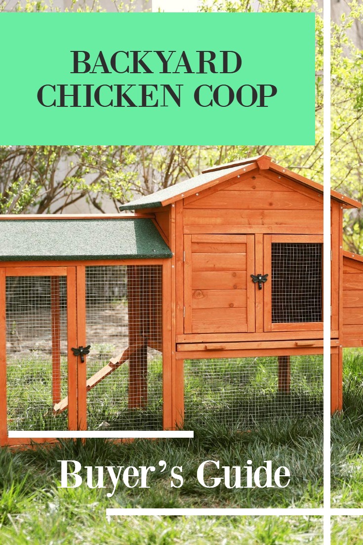 Chicken Coop Buyer's Guide