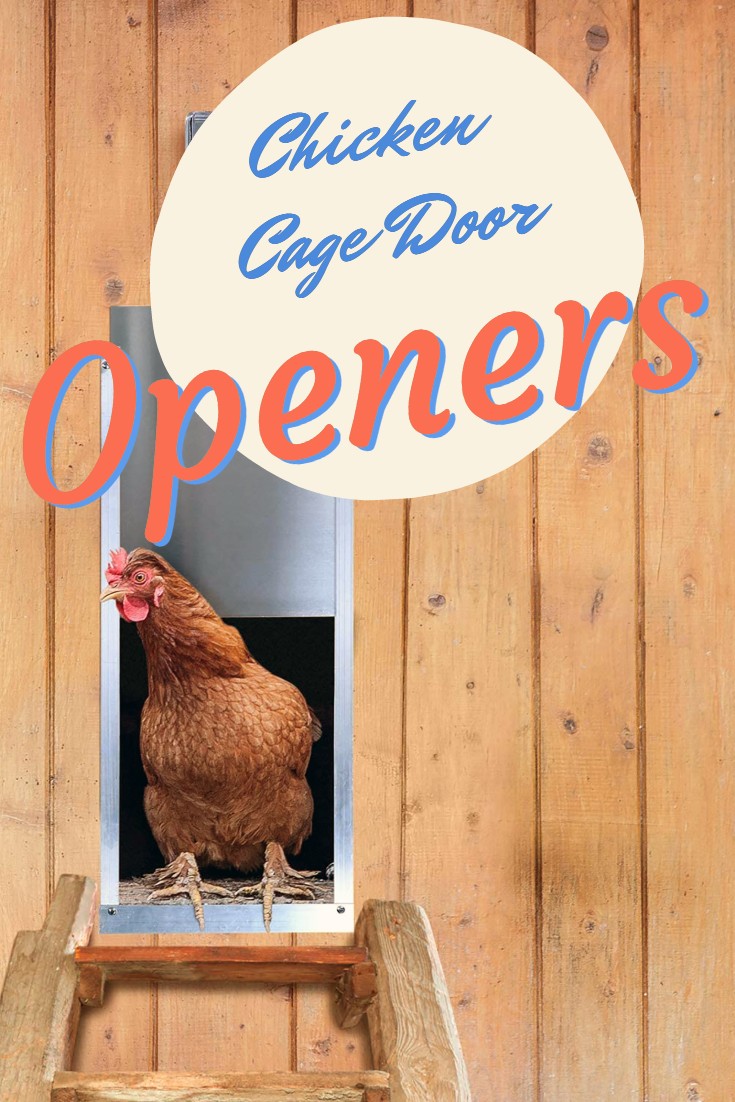 AUTOMATIC chicken coop DOOR