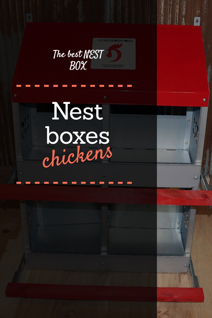 nest box