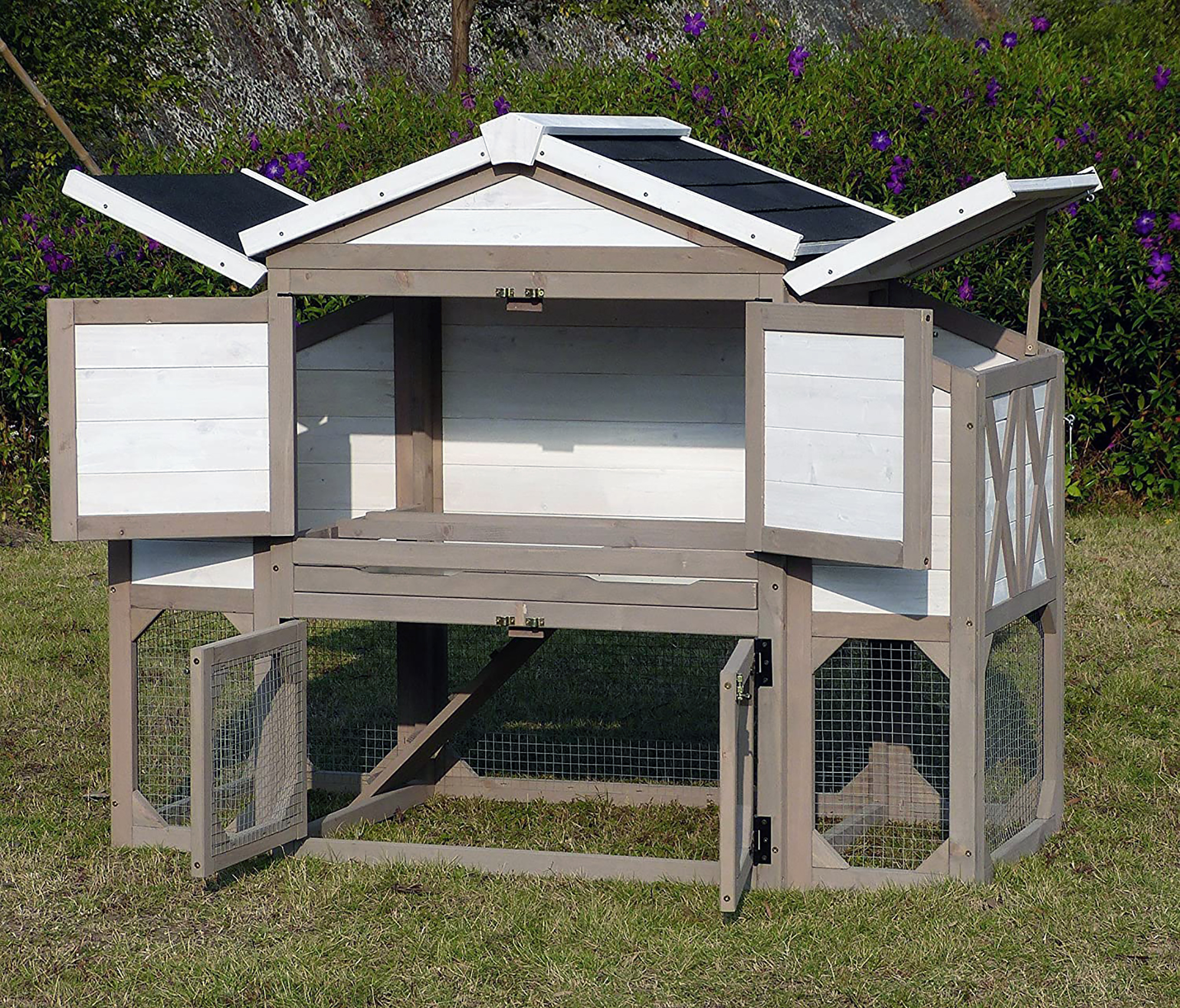 SMALL chicken Coop DESIGN