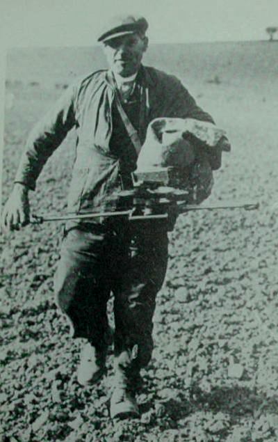 Seed Fiddle, courtesy of Roy Brigden