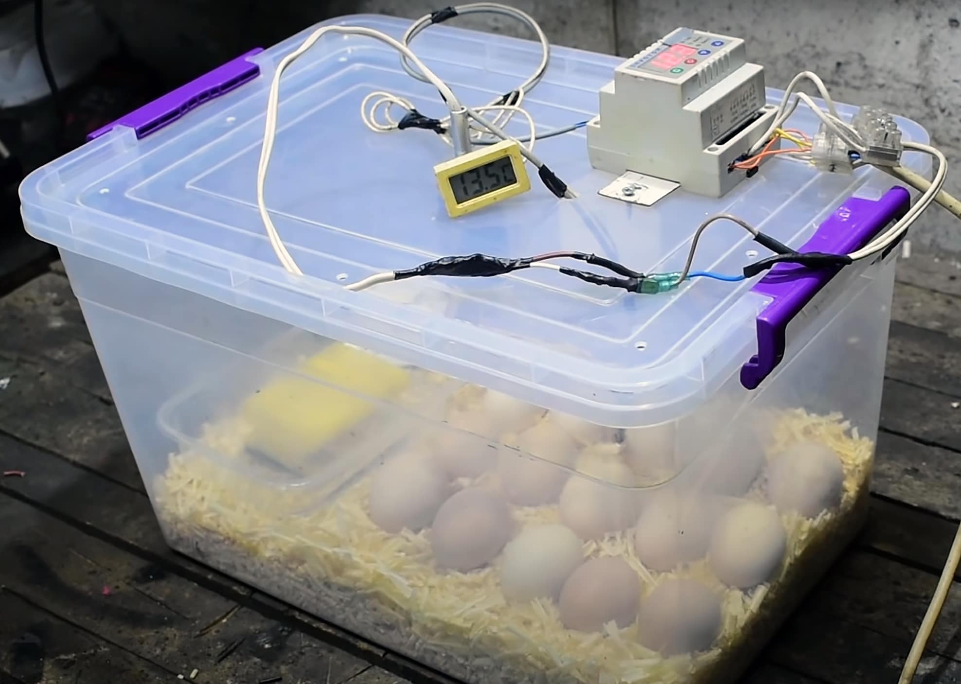 DIY egg incubator